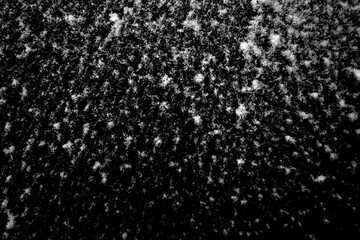 Natural white snow on a black background