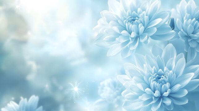 Blue-colored background with blooming chrysanthemums, close-up, blue flowers, blurred background, delicate and soft