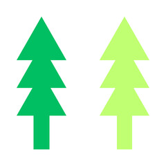 christmas tree an evergreen conifer