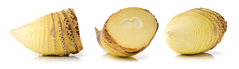 Bamboo shoot on the white background 