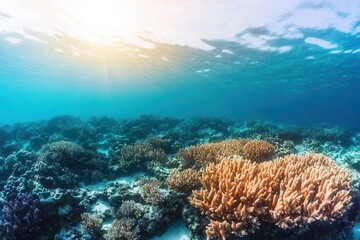 Environmental consideration concept, A vibrant underwater scene showcases colorful coral reefs illuminated by sunlight filtering through the ocean surface.