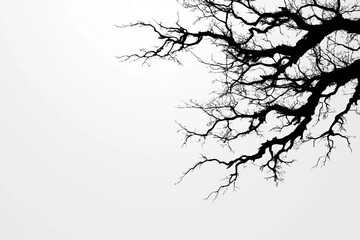 Fototapeta premium A minimalist tree with bare branches, set against a soft gray gradient background