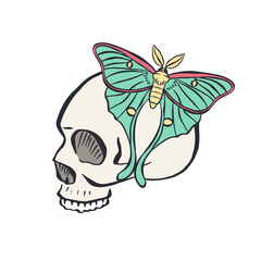 Hand drawn human skull with teal luna moth wings isolated on white background. Bohemian skeleton head with butterfly design