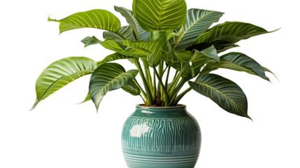 A lush parlor palm in a modern pot, bringing a touch of tropical greenery to indoor spaces, isolated on transparent background.