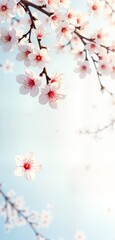 Fototapeta premium White cherry blossoms fly gracefully in air against soft pale blue sky. Springtime beauty presented. Floral design, Japanese aesthetic featured. Perfect for seasonal decor romantic theme. Springtime