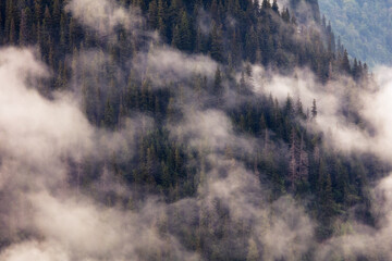 Fog on the slopes of the mountains