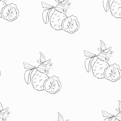 Hand drawn bergamot on white background seamless pattern