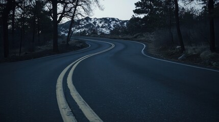 Winding Mountain Road Through Dark Trees and Snow
