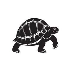 turtle silhouette vector, black and white silhouette, vector and illustration isolated on white background, black and white