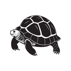 turtle silhouette vector, black and white silhouette, vector and illustration isolated on white background, black and white