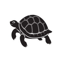 turtle silhouette vector, black and white silhouette, vector and illustration isolated on white background, black and white