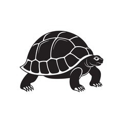 turtle silhouette vector, black and white silhouette, vector and illustration isolated on white background, black and white