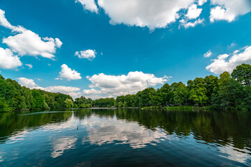Serene Summer Lake in Hamburg: Natures Beauty Reflects