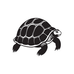 turtle silhouette vector, black and white silhouette, vector and illustration isolated on white background, black and white