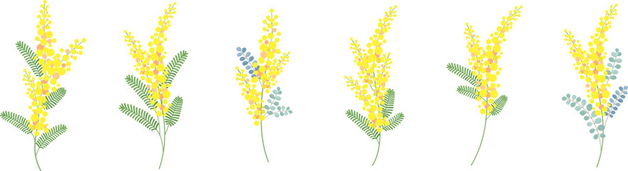 ミモザの花のベクター素材イラスト