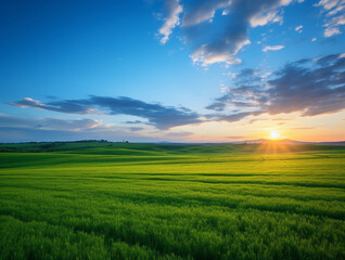 Fototapeta premium Sunrise over a vibrant green field. Concept of nature, peace, and tranquility.