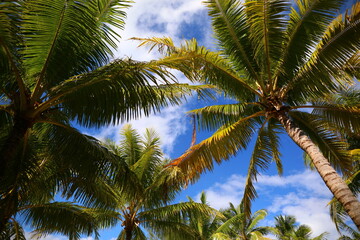Bora Bora Island, French Polynesia, South Pacific
