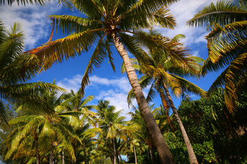 Bora Bora Island, French Polynesia, South Pacific