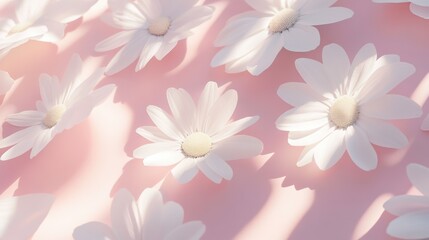 Chamomile petals on pale pink background with soft lighting