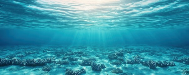 Turquoise ocean and precious, A serene underwater scene showcasing clear blue waters illuminated by sunlight, revealing a beautiful, vibrant ocean floor.