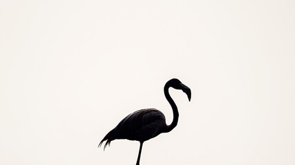 Obraz premium A lone flamingo's silhouette stands elegantly against bright backdrop.