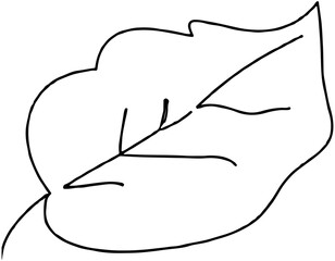 Doodle leaf icon
