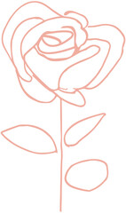 Rose one line icon