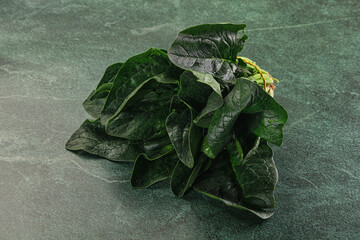 Ripe green spinach leaves heap