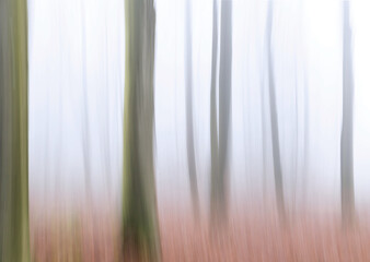 Starker Nebel im Wald, kalte Luft Bildwischer Minimalisten Bildeindruck