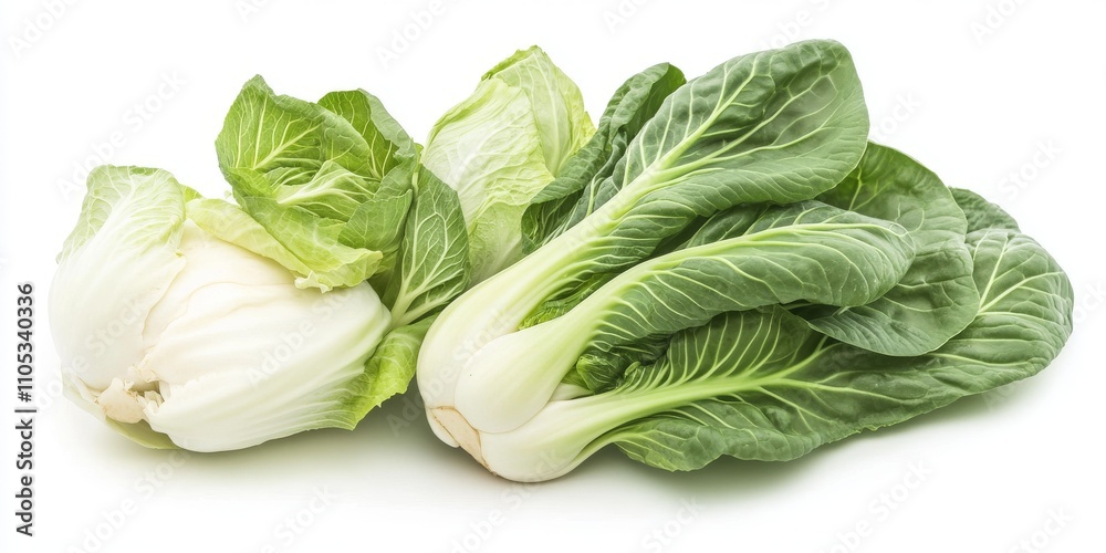 Poster fresh bok choy and cabbage displayed in isolation on a white background, showcasing the vibrant fres