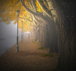 autumn in the park