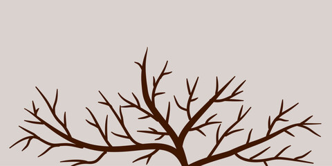 Autumn branches of trees front. Dry branches rustic plants silhouette abstract. Branch tree woods for decorative ornament, card and paper.