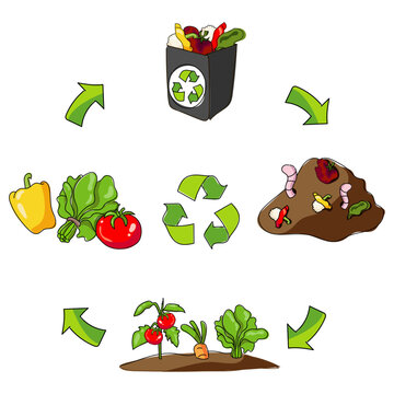 Vector Illustration of Organic Recycling Process, Image hand drawing.