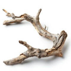 Driftwood piece isolated on white background.