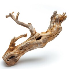 Fototapeta premium Driftwood piece isolated on white background.