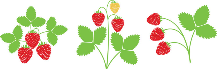 Strawberry logo. Isolated strawberry on white background