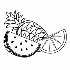 Tropical Fruit Slice - Watermelon, Pineapple, or Orange Cross-Section Vector