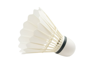 a white shuttlecock with a black band