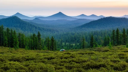 Wilderness mountains and survival, A serene landscape featuring rolling mountains, lush green forests, and a calm ambiance during twilight.