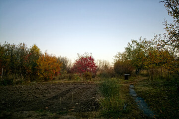 Dirt road through the village in autumn