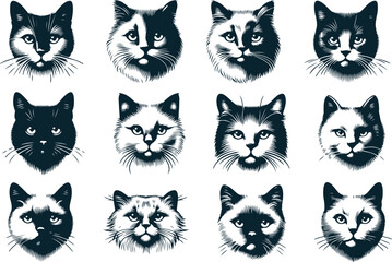 Modern Cat Head Illustration