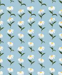 Daisy flower background.Eps 10 vector.