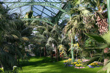 Inside a greenhouse, there is an abundance of palm trees and vibrant flowers