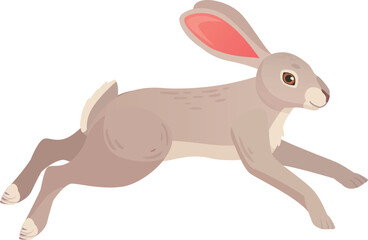 Hare running. Wild rabbit in nature. Forest animal