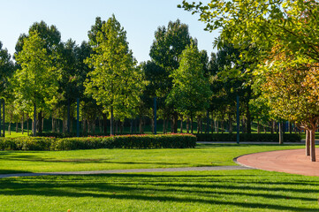 Landscape with green grass, ornamental trees and trimmed bushes on a sunny autumn day. Public...