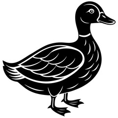 illustration of duck