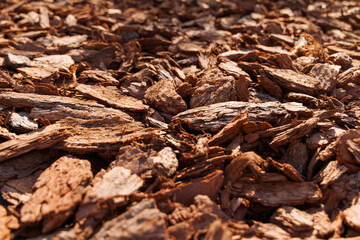 Background of large pieces of pine bark. View from an angle, selective focus, close-up.