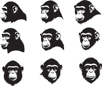Chimpanzee Head Profile Vector