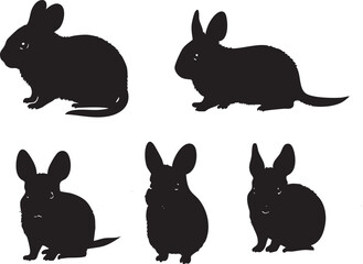Chinchilla Head Silhouette Illustration