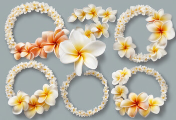 Obraz premium Frangipani garlands set Collection of Circle frames of frangipani plumeria flowers isolated on trans